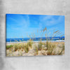 Beach and coastal wall art print of Algarve Dune Flora on a stretched canvas