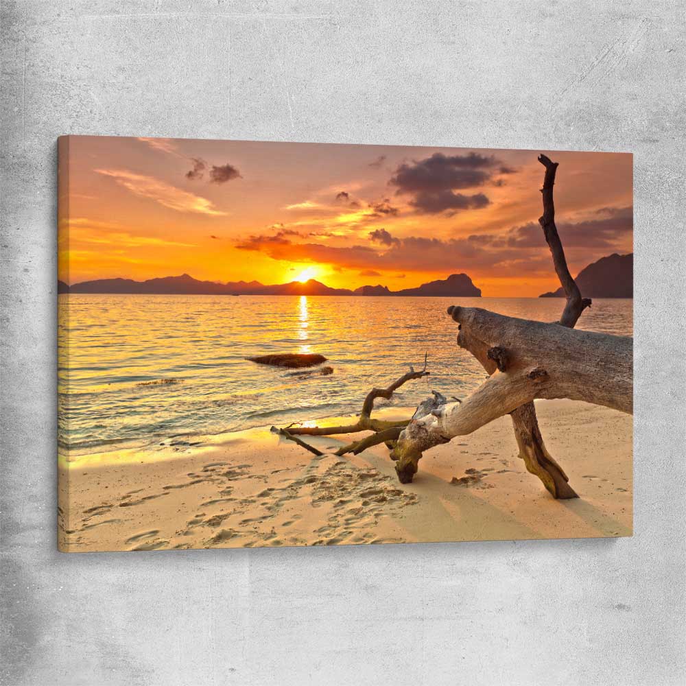 Beach and coastal wall art print of Driftwood at Sunset on a stretched canvas