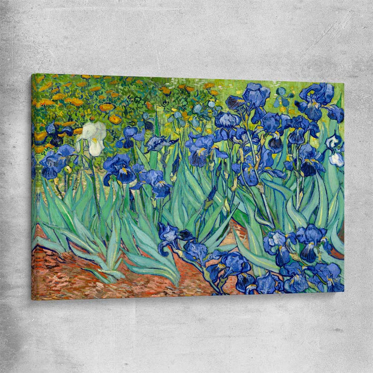 Classic wall art and canvas print of Irises Van Gogh on a stretched canvas