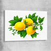 Lemon Botanical stretched canvas is a colourful and stylish canvas wall art and print suited for the kitchen area