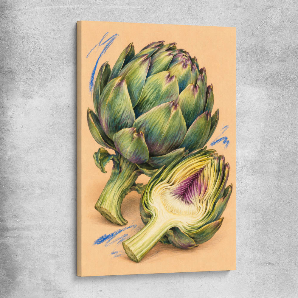 Sculptural Artichokes stretched canvas is a colourful and stylish canvas wall art and print suited for the kitchen area