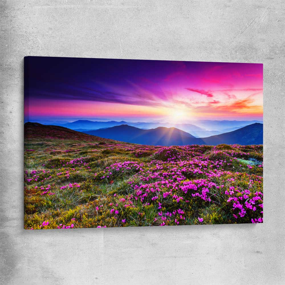 Floral print of Carpathian Mountain Bloom on a stretched canvas