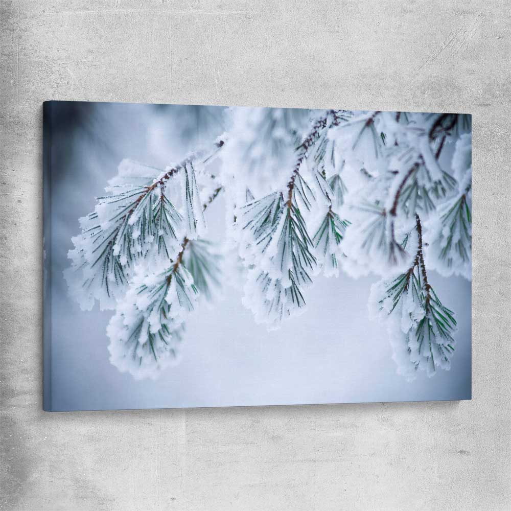 Floral print of Frosted Pine Canopy on a stretched canvas