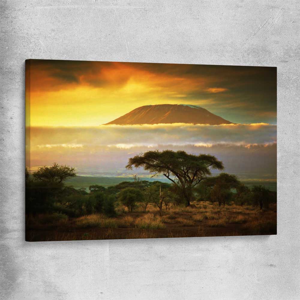 Floral print of Mount Kilimanjaro Sunset on a stretched canvas