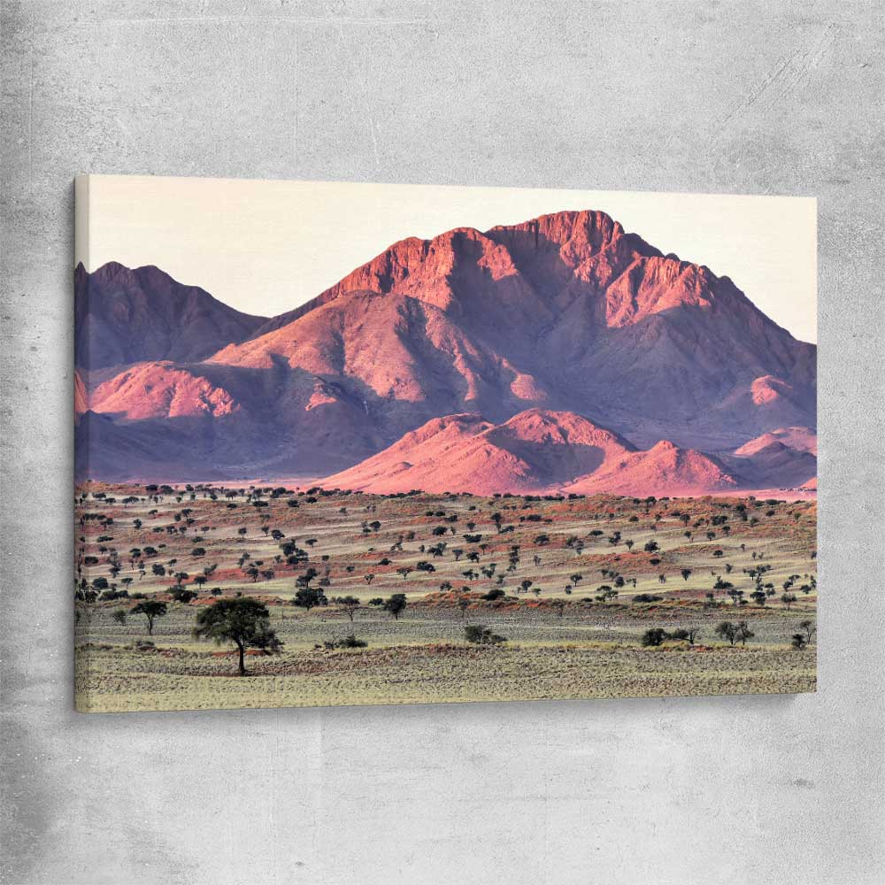 Floral print of Namib Rand Desert on a stretched canvas