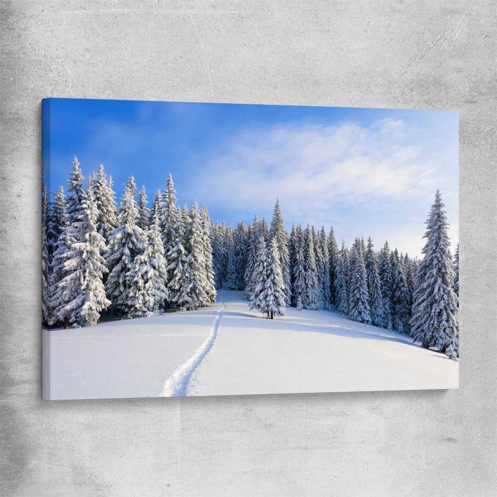 Floral print of Snowy Forest Path on a stretched canvas