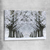 Floral print of Winter Tree Avenue on a stretched canvas