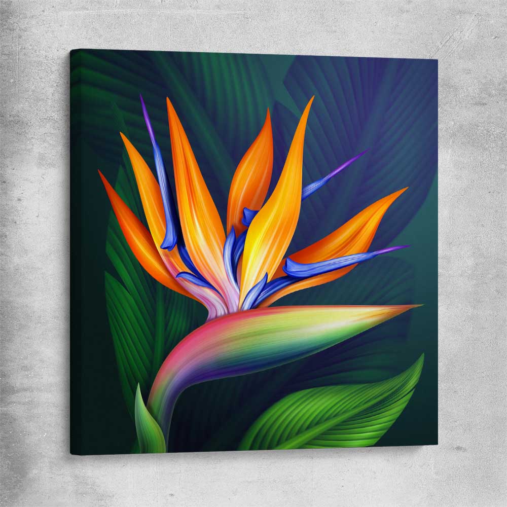 Floral print of Bird of Paradise Illustration on a stretched canvas