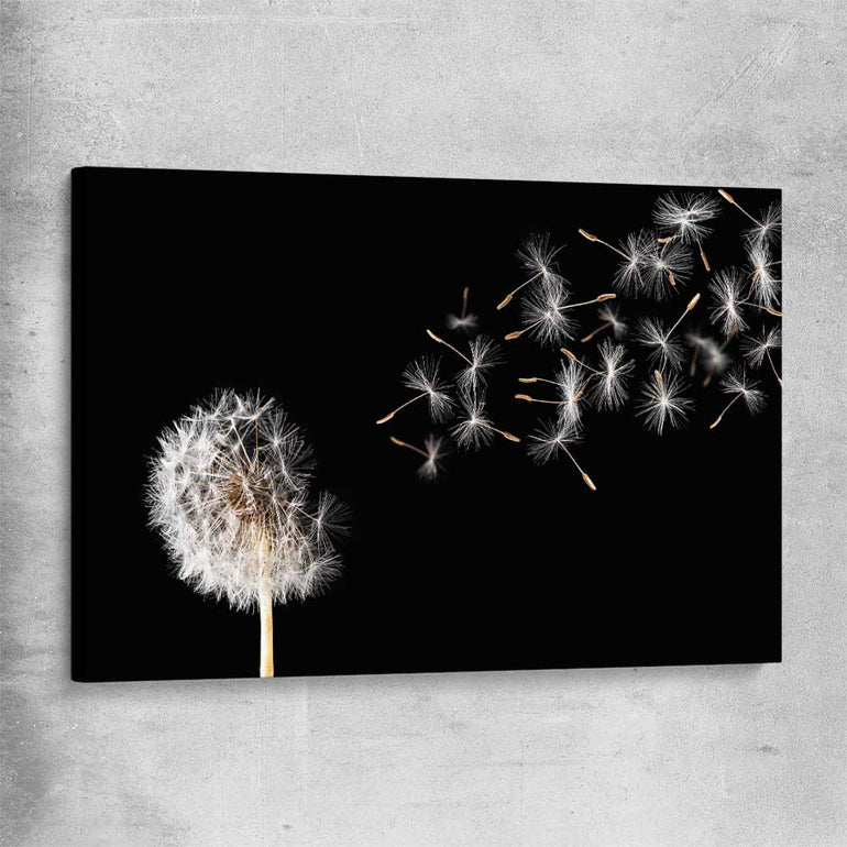 Floral print of Blowing Dandelion on a stretched canvas