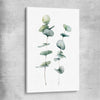 Floral print of Eucalyptus Three on a stretched canvas