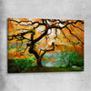 Floral print of Japanese Maple Tree on a stretched canvas