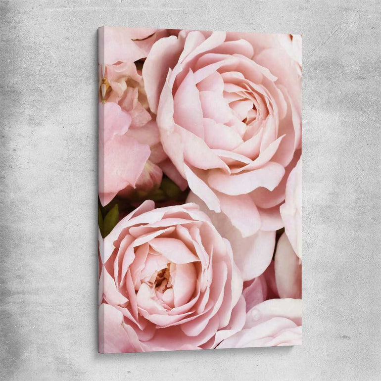 Floral print of Peony Pastel on a stretched canvas