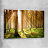 Floral print of Pine Forest Sunrise on a stretched canvas