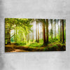 Floral print of Spring Forest on a stretched canvas