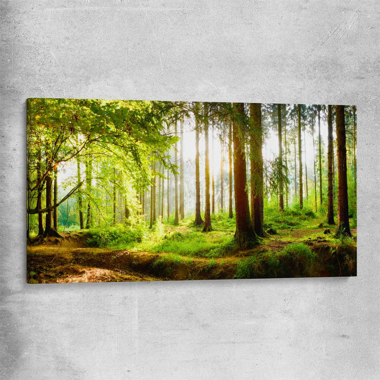 Floral print of Spring Forest on a stretched canvas