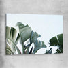 Floral print of Tropical Banana Palm on a stretched canvas