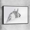 Animal wall art and canvas prints of Andalusian Horse with black framed canvas