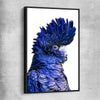 Animal wall art and canvas prints of Black Cockatoo Two with black framed canvas