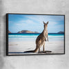Animal wall art and canvas prints of Coastal Kangaroo Gaze with black framed canvas
