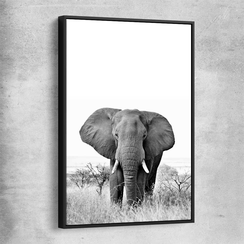Animal wall art and canvas prints of Elephant Gaze with black framed canvas