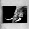 Animal wall art and canvas prints of Elephant Majesty with black framed canvas