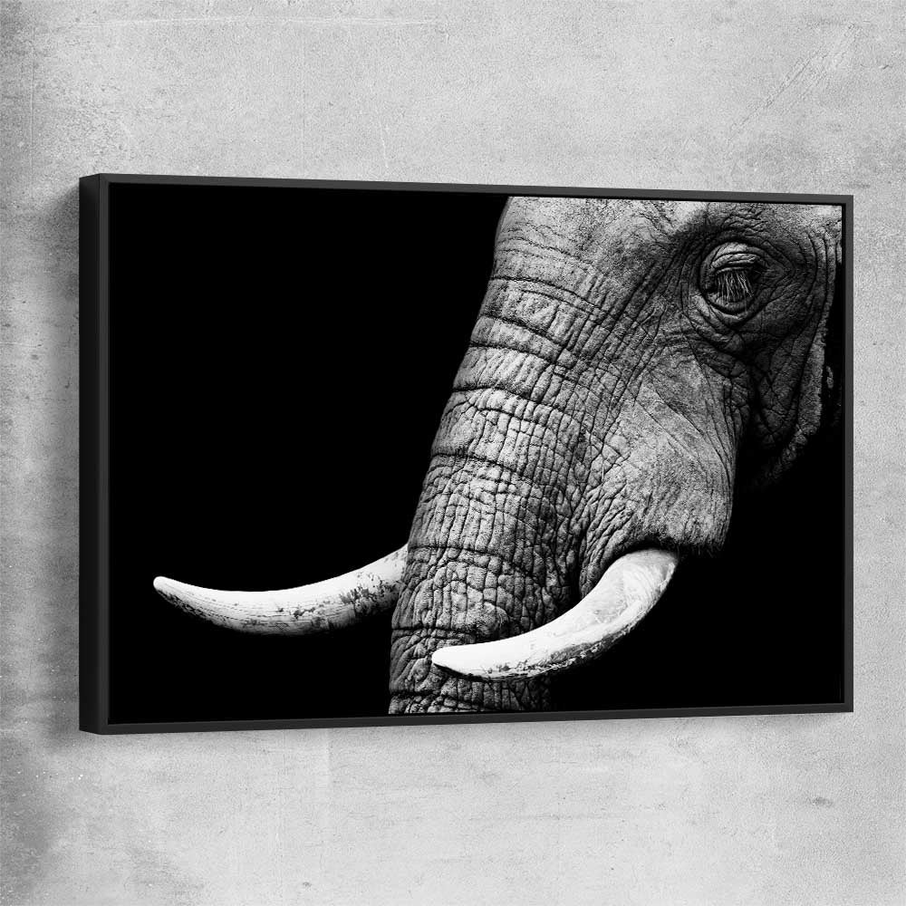 Animal wall art and canvas prints of Elephant Majesty with black framed canvas