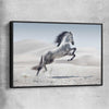 Animal wall art and canvas prints of Free Spirit Horse with black framed canvas