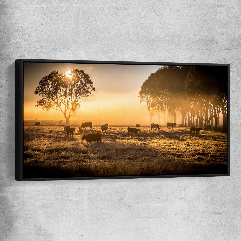 Animal wall art and canvas prints of Grazing Cattle at Sunrise with black framed canvas