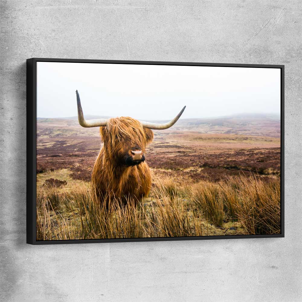 Animal wall art and canvas prints of Highland Horizon with black framed canvas
