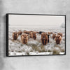 Animal wall art and canvas prints of Highland Ranges with black framed canvas