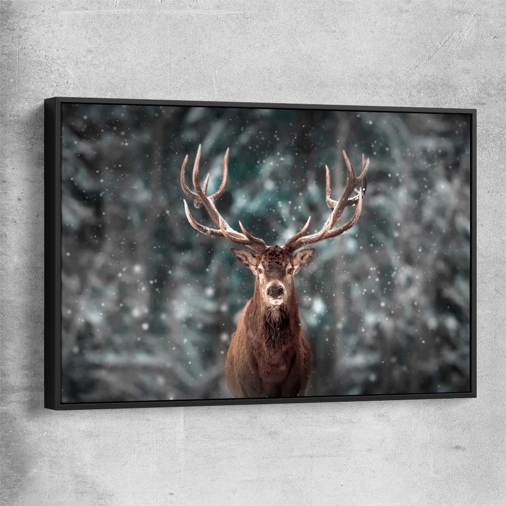 Animal wall art and canvas prints of Highland Stag Portrait with black framed canvas