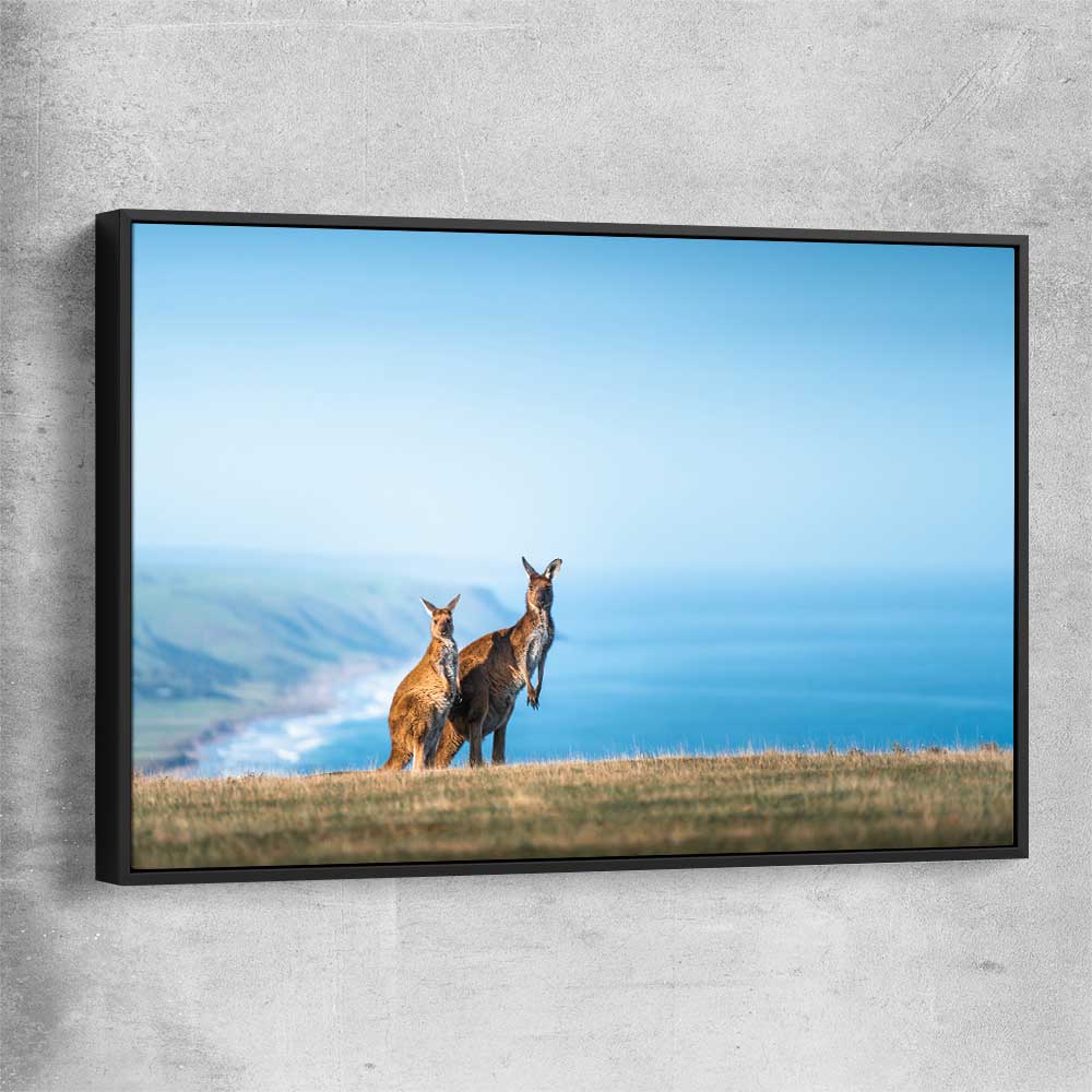 Animal wall art and canvas prints of Kangaroo Coastal Vista with black framed canvas
