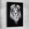 Animal wall art and canvas prints of Lion Gaze with black framed canvas