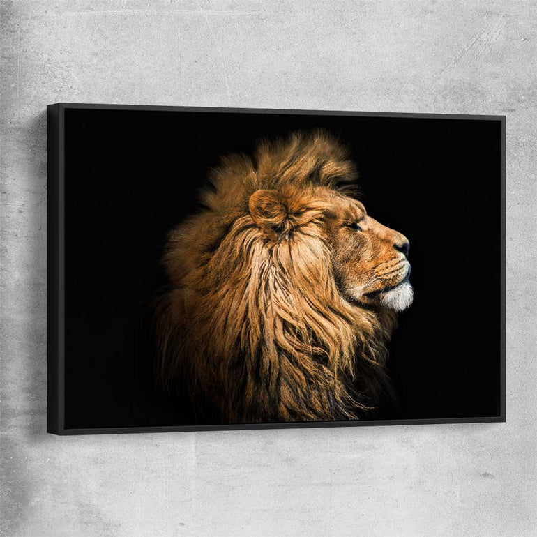 Animal wall art and canvas prints of Lion Mentality with black framed canvas