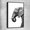 Animal wall art and canvas prints of Lone Elephant with black framed canvas