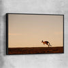 Animal wall art and canvas prints of Lone Kangaroo Plains with black framed canvas