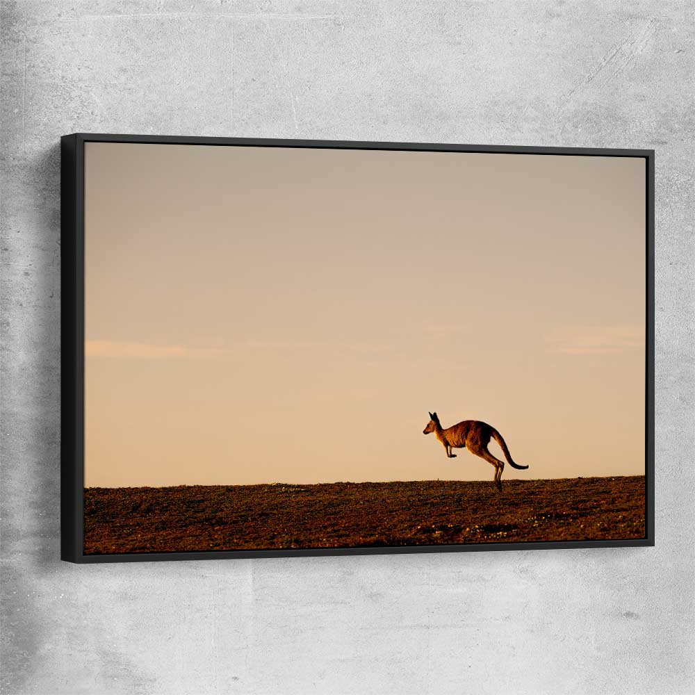 Animal wall art and canvas prints of Lone Kangaroo Plains with black framed canvas