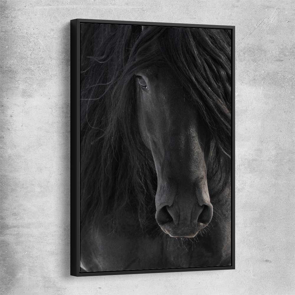 Animal wall art and canvas prints of Midnight Friesian Horse with black framed canvas