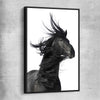 Animal wall art and canvas prints of Midnight Horse with black framed canvas