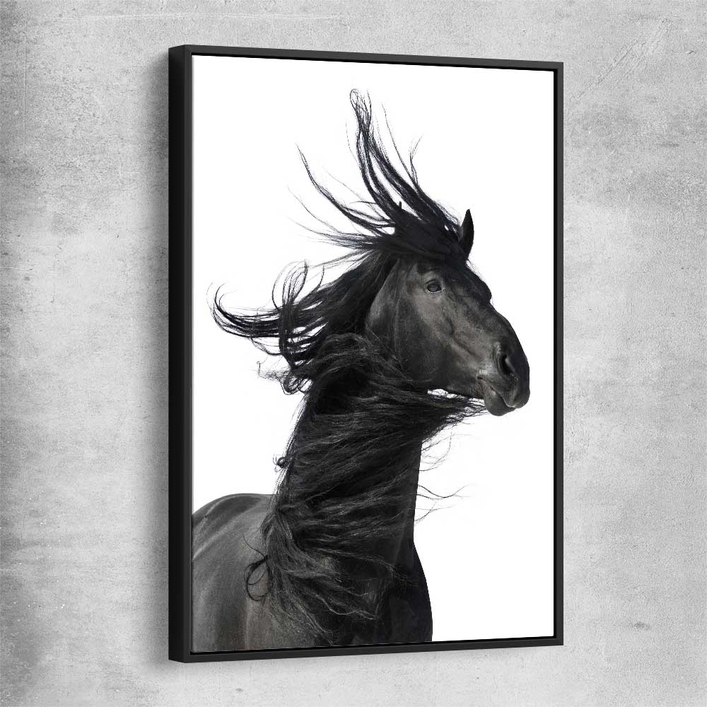 Animal wall art and canvas prints of Midnight Horse with black framed canvas