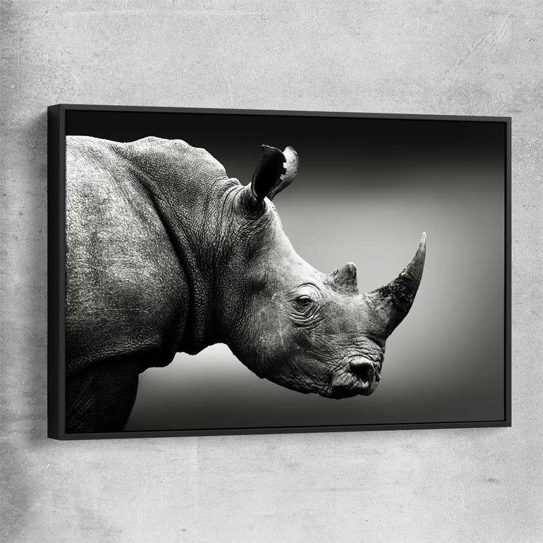 Animal wall art and canvas prints of Monochrome Rhinoceros with black framed canvas