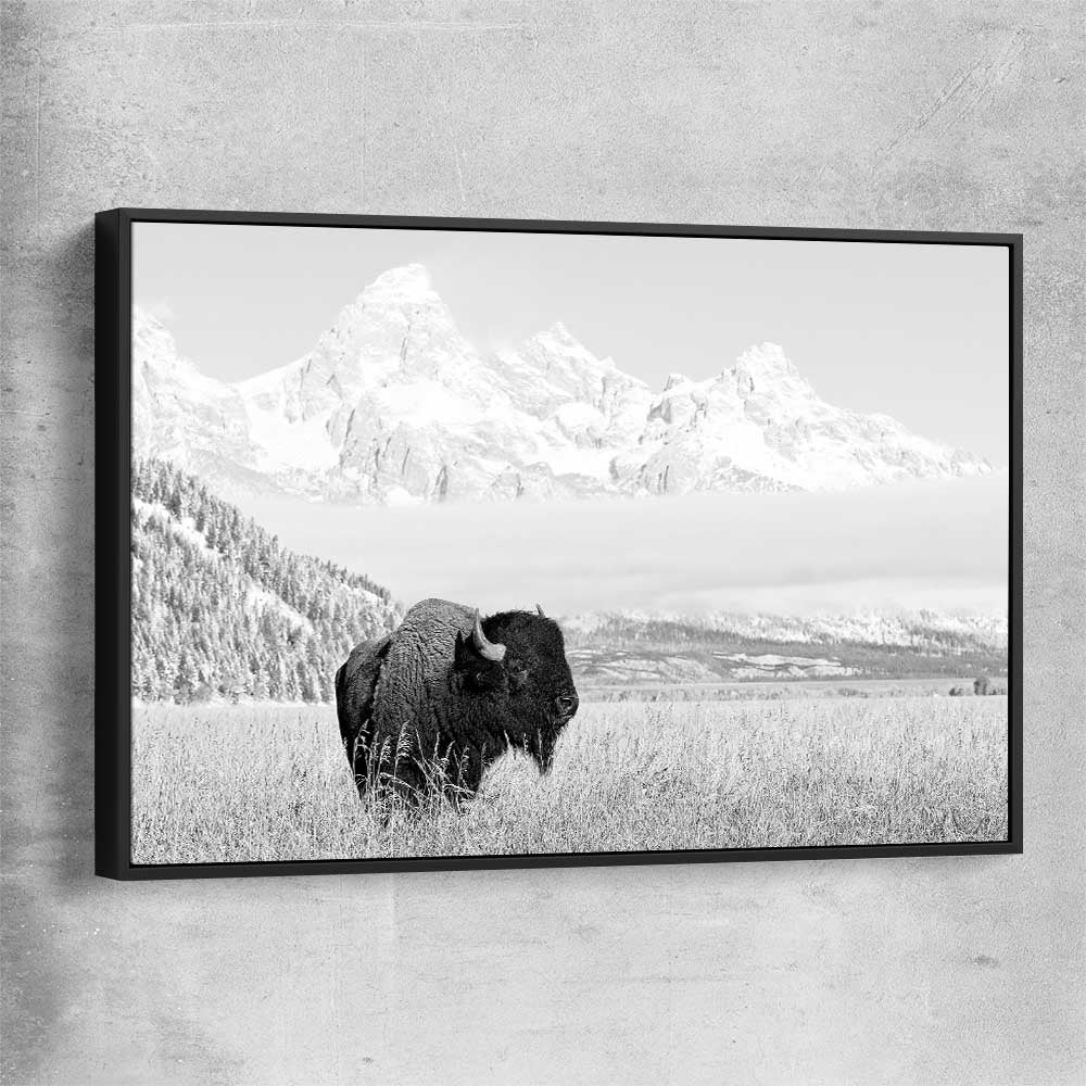 Animal wall art and canvas prints of Mountain Bison with black framed canvas