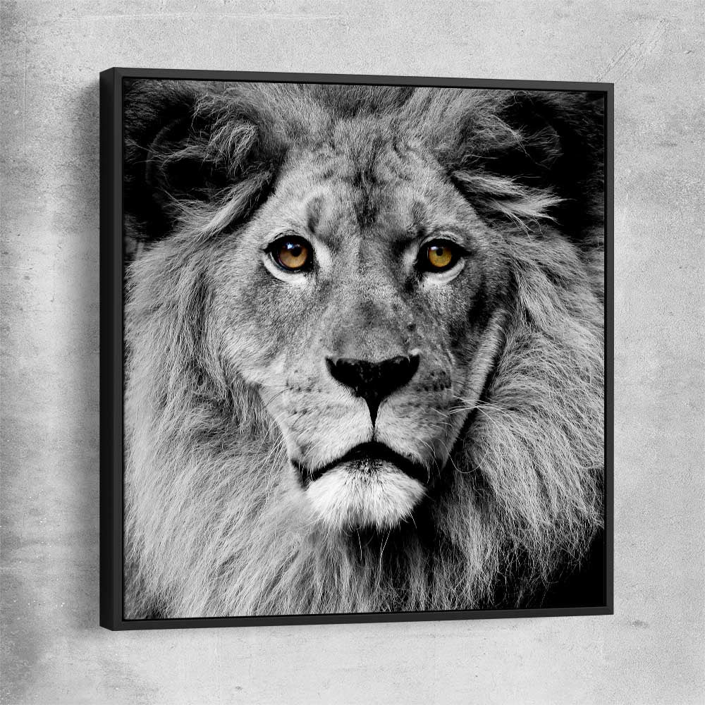 Animal wall art and canvas prints of Noble Lion Portrait with black framed canvas