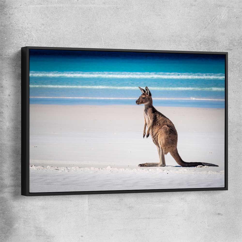 Animal wall art and canvas prints of Ocean Kangaroo Edge with black framed canvas