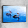 Animal wall art and canvas prints of Pelican Blue Waters with black framed canvas