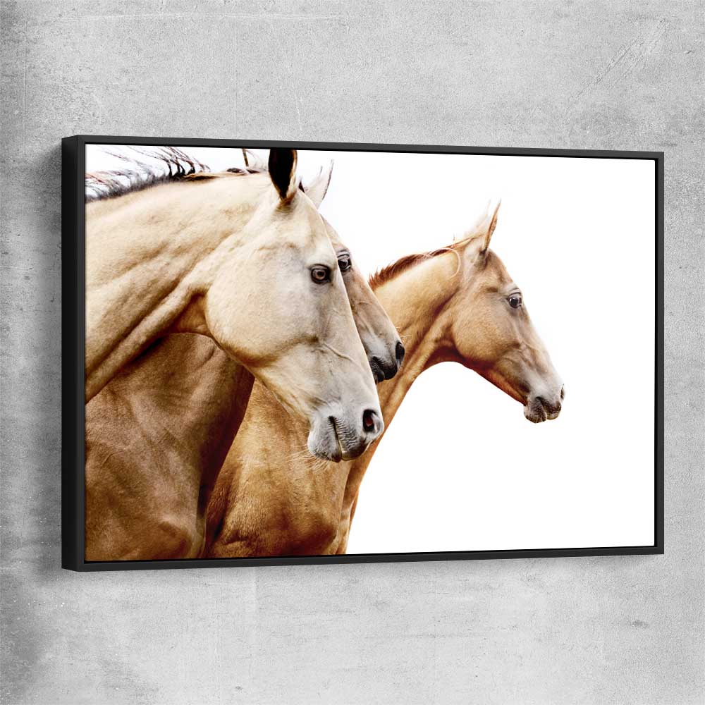 Animal wall art and canvas prints of Purebred Horse Pair with black framed canvas