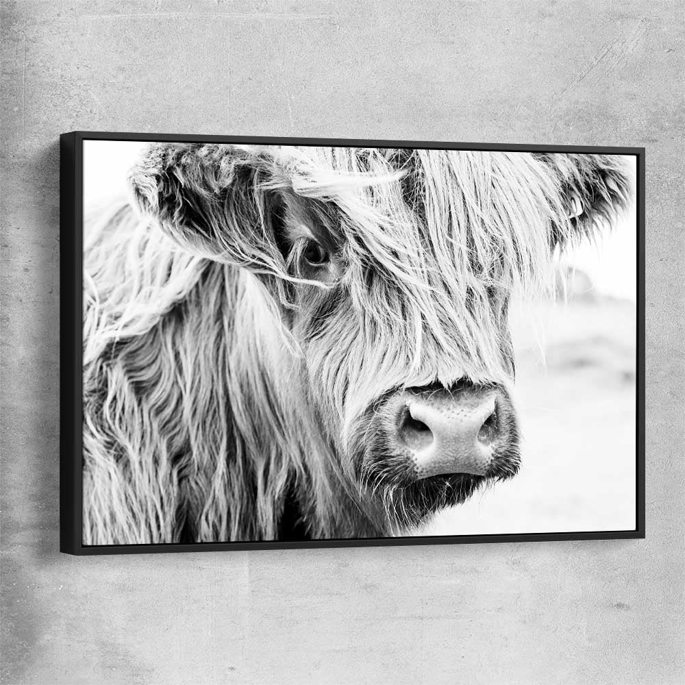 Animal wall art and canvas prints of Quiet Highland Cow with black framed canvas
