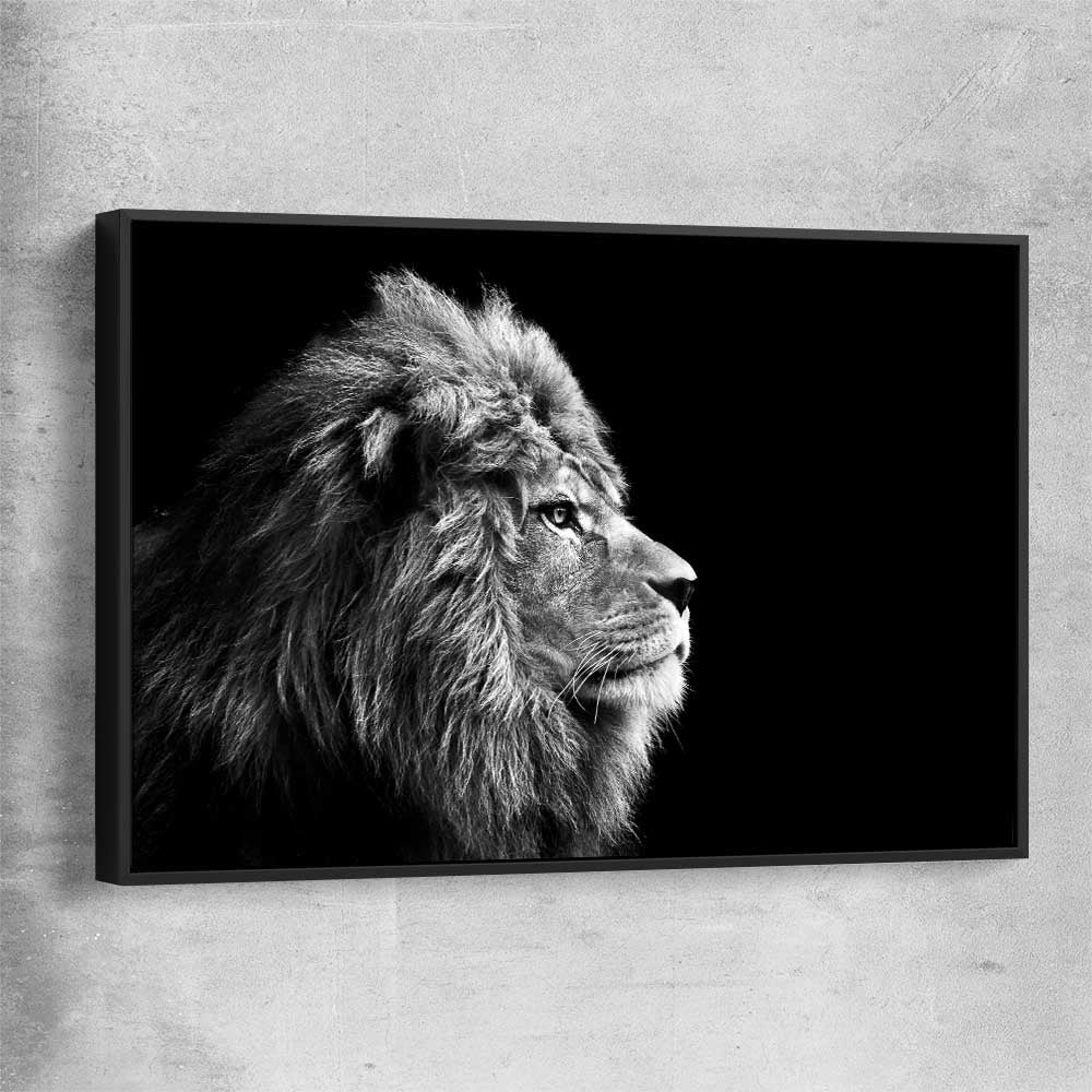 Animal wall art and canvas prints of Regal Lion Profile with black framed canvas