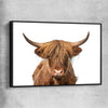 Animal wall art and canvas prints of Rustic Highland Cow with black framed canvas
