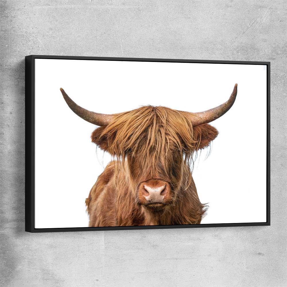 Animal wall art and canvas prints of Rustic Highland Cow with black framed canvas